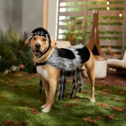 Frisco Spider Dog & Cat Costume 12 Frisco Spider Dog & Cat Costume -Frisco 335017 PT7. AC SS1800 V1657834853