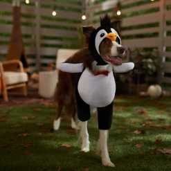 Frisco Front Walking Penguin Dog & Cat Costume 14 Frisco Front Walking Penguin Dog & Cat Costume -Frisco 335062 PT7. AC SS1800 V1657718971