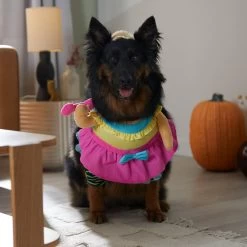 Frisco Front Walking Workout Girl Dog & Cat Costume 14 Frisco Front Walking Workout Girl Dog & Cat Costume -Frisco 335111 PT7. AC SS1800 V1657656881