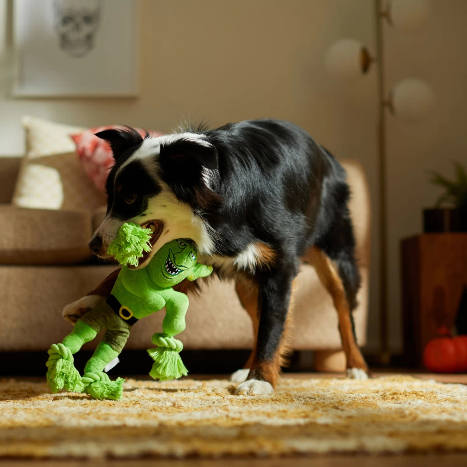 Frisco Halloween Goblin Plush With Rope Squeaky Dog Toy 3 Frisco Halloween Goblin Plush With Rope Squeaky Dog Toy - Image 3