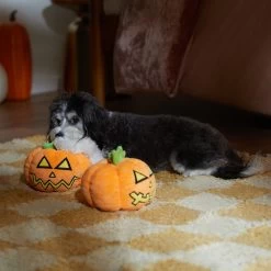 Frisco Halloween Scary Jack-O-Lantern Plush Squeaky Dog Toy 7 Frisco Halloween Scary Jack-O-Lantern Plush Squeaky Dog Toy -Frisco 344158 PT3. AC SS1800 V1657657048