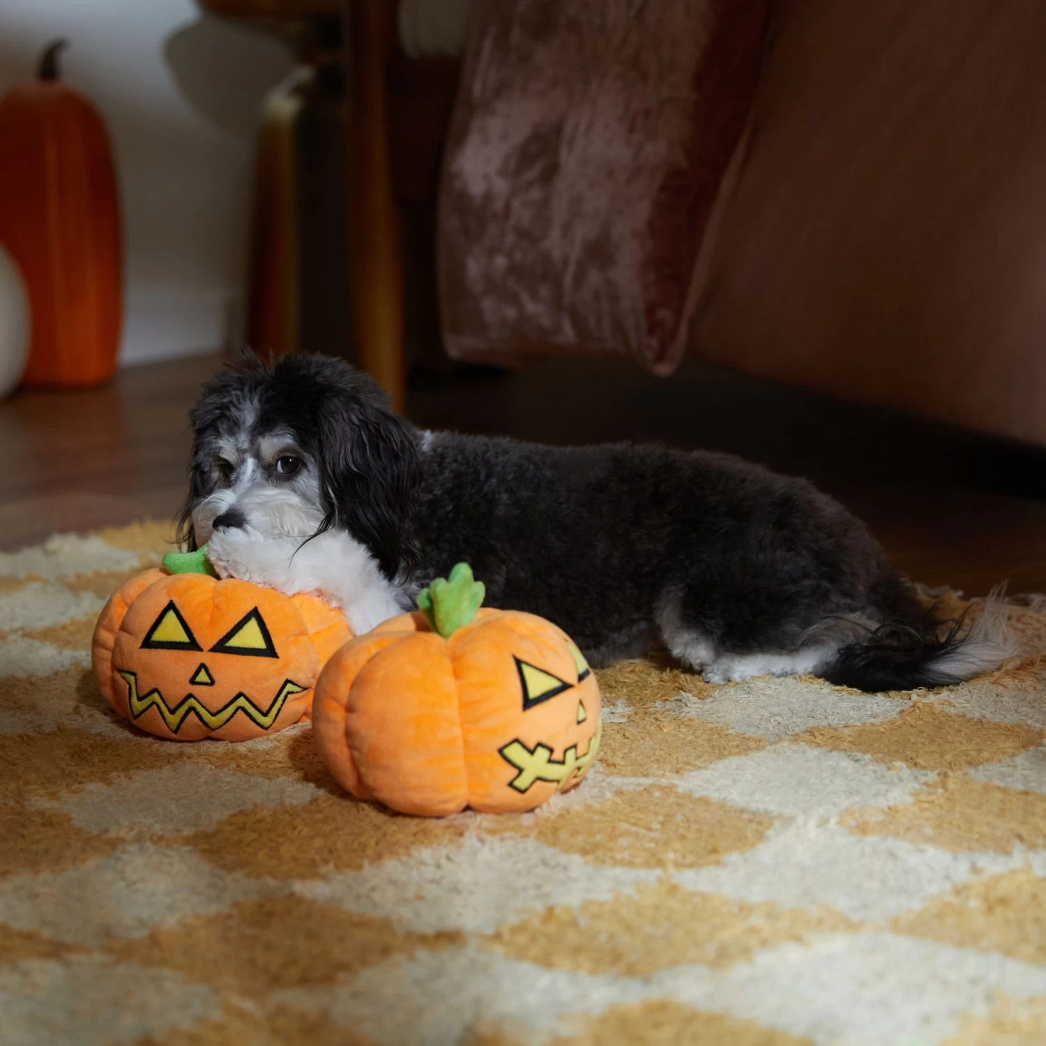 Frisco Halloween Scary Jack-O-Lantern Plush Squeaky Dog Toy 3 Frisco Halloween Scary Jack-O-Lantern Plush Squeaky Dog Toy - Image 3