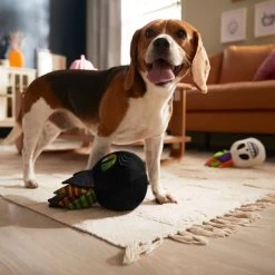 Frisco Halloween Succulents Plush Squeaky Dog Toy 7 Frisco Halloween Succulents Plush Squeaky Dog Toy -Frisco 344164 PT3. AC SS1800 V1657657049