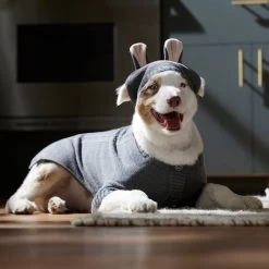 Frisco Bunny Hooded Dog & Cat Sweater 12 Frisco Bunny Hooded Dog & Cat Sweater -Frisco 353571 PT6. AC SS1800 V1660749538