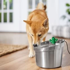 Frisco Stainless Steel Cactus & Leaf Dog & Cat Fountain 12 Frisco Stainless Steel Cactus & Leaf Dog & Cat Fountain -Frisco 355814 PT5. AC SS1800 V1665683869