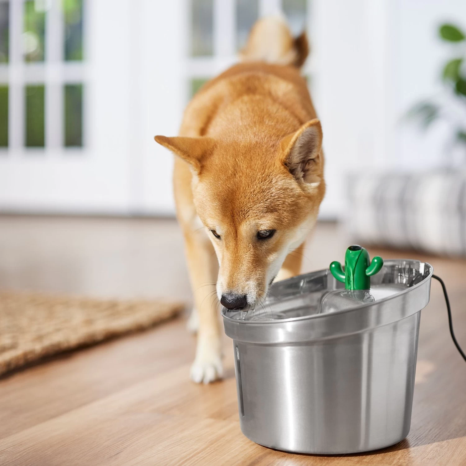 Frisco Stainless Steel Cactus & Leaf Dog & Cat Fountain 6 Frisco Stainless Steel Cactus & Leaf Dog & Cat Fountain - Image 6