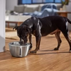 Frisco Stainless Steel Heart Dog & Cat Fountain 12 Frisco Stainless Steel Heart Dog & Cat Fountain -Frisco 355816 PT5. AC SS1800 V1665684540