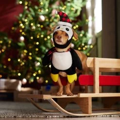 Frisco Front Walking Holiday Penguin Dog & Cat Costume -Frisco 358020 PT7. AC SS1800 V1661798757