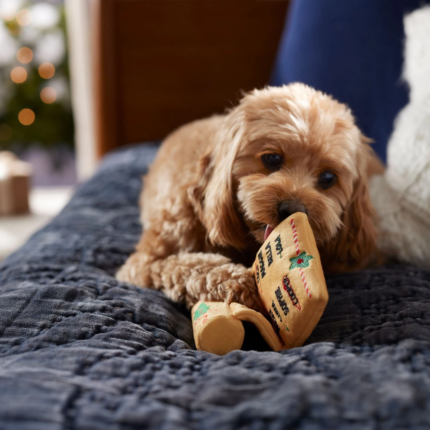 Frisco Holiday Santa's List Plush & TPR Inside Dog Toy 3 Frisco Holiday Santa's List Plush & TPR Inside Dog Toy - Image 3