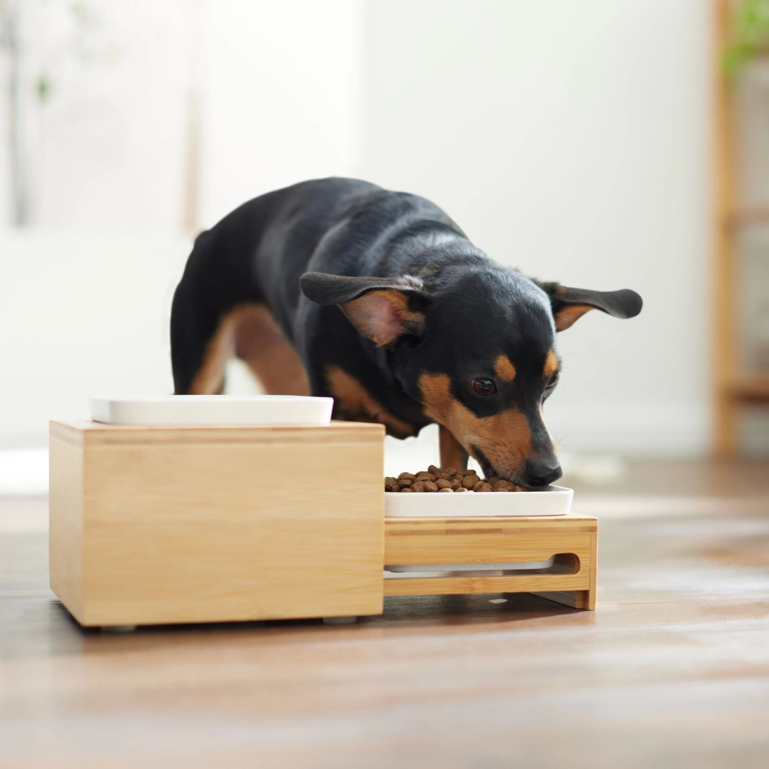 Frisco Elevated Non-Skid Bamboo Melamine Bowl Double Diner With Bamboo Stand 3 Frisco Elevated Non-Skid Bamboo Melamine Bowl Double Diner With Bamboo Stand - Image 3