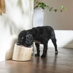 Frisco Elevated Slanted Bamboo Melamine Non-Skid Dog Bowl With Bamboo Stand 10 Frisco Elevated Slanted Bamboo Melamine Non-Skid Dog Bowl With Bamboo Stand -Frisco 363387 PT2. AC SS1800 V1657657267