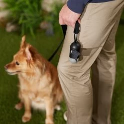 Frisco Dog Poop Bag Dispenser, 15 Count -Frisco 363846 PT5. AC SS1800 V1669100746