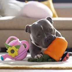 Frisco Spring Potted Plant And Watering Can Plush Squeaky Dog Toy 8 Frisco Spring Potted Plant And Watering Can Plush Squeaky Dog Toy -Frisco 541494 PT4. AC SS1800 V1702500565