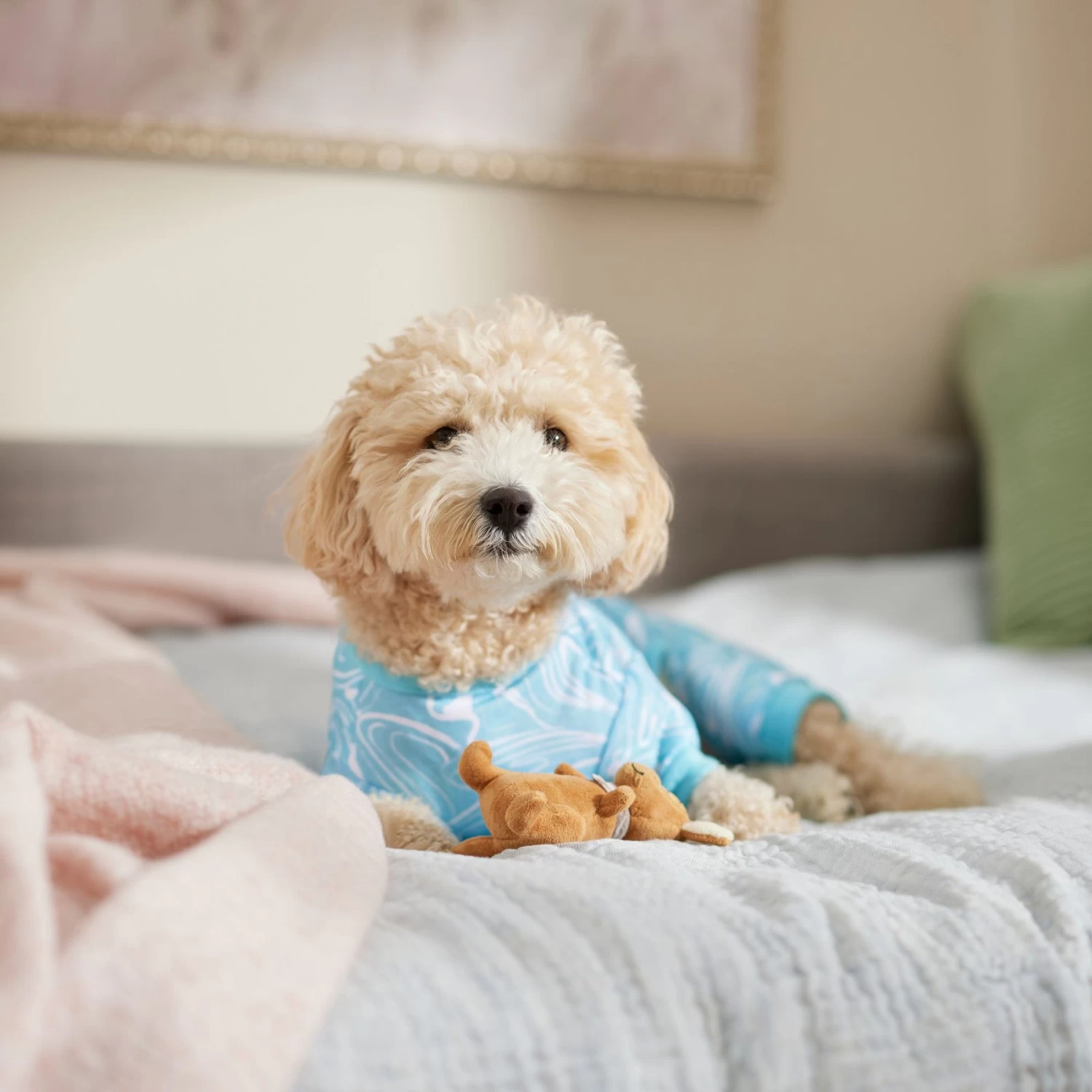 Frisco Blue Ocean Waves Dog & Cat Jersey PJs 5 Frisco Blue Ocean Waves Dog & Cat Jersey PJs - Image 5