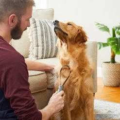 TropiClean Lime & Cocoa Butter Deshedding Dog Conditioner & Frisco Shedding Blade Dog Brush, One Size 17 TropiClean Lime & Cocoa Butter Deshedding Dog Conditioner & Frisco Shedding Blade Dog Brush, One Size -Frisco 575070 PT8. AC SS1800 V1657660395
