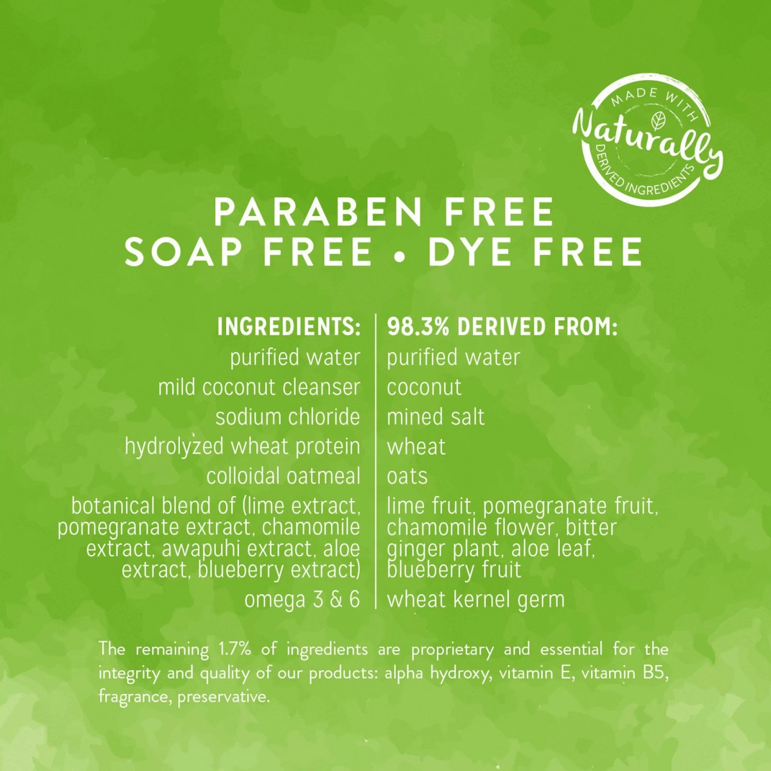 TropiClean Lime & Coconut Deshedding Dog Shampoo & Frisco Shedding Rake Dog & Cat Brush 4 TropiClean Lime & Coconut Deshedding Dog Shampoo & Frisco Shedding Rake Dog & Cat Brush - Image 4