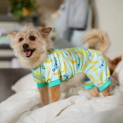 Frisco Go Bananas Dog & Cat Jersey PJs 10 Frisco Go Bananas Dog & Cat Jersey PJs -Frisco 608998 PT6. AC SS1800 V1676642341