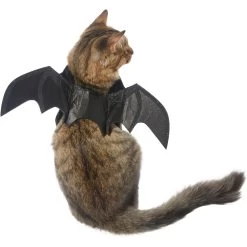 Frisco Bat Wings Dog & Cat Costume & Buckle-Down Batman Shield Polyester Dog Collar 11 Frisco Bat Wings Dog & Cat Costume & Buckle-Down Batman Shield Polyester Dog Collar -Frisco 638566 PT2. AC SS1800 V1663254513