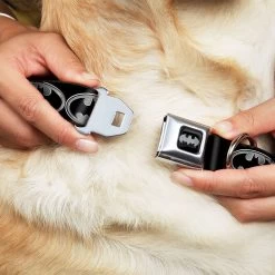 Frisco Bat Wings Dog & Cat Costume & Buckle-Down Batman Shield Polyester Dog Collar 15 Frisco Bat Wings Dog & Cat Costume & Buckle-Down Batman Shield Polyester Dog Collar -Frisco 638566 PT6. AC SS1800 V1663254111