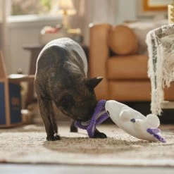 Frisco Halloween Bunny Ghost Plush Squeaky Dog Toy 8 Frisco Halloween Bunny Ghost Plush Squeaky Dog Toy -Frisco 667878 PT3. AC SS1800 V1689340856