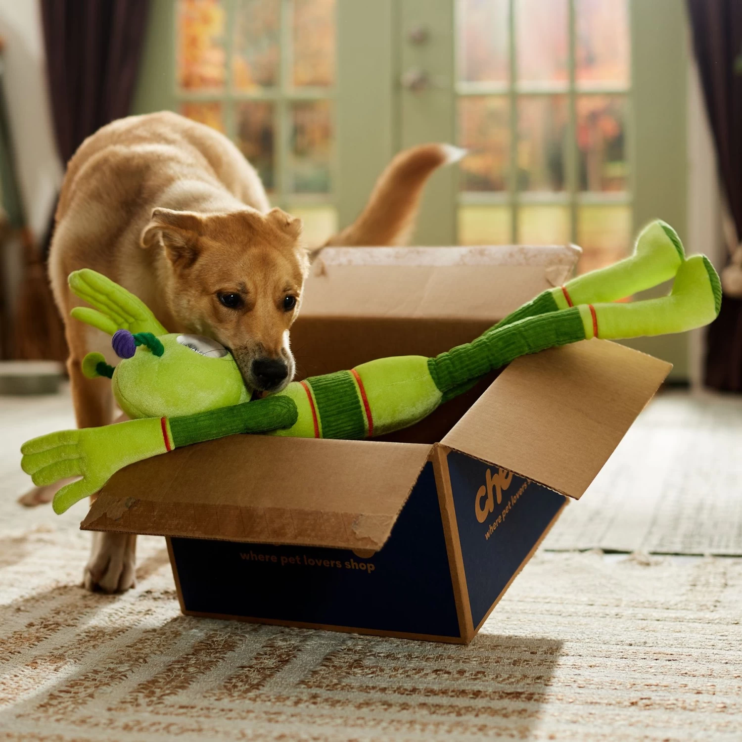 Frisco Halloween Alien Wagazoo Plush Squeaky Dog Toy, Extra Long 4 Frisco Halloween Alien Wagazoo Plush Squeaky Dog Toy, Extra Long - Image 4