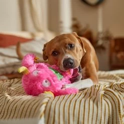 Frisco Halloween Zany Monster Muscle Plush Squeaky Dog Toy -Frisco 668166 PT3. AC SS1800 V1689271301