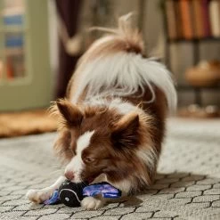 Frisco Halloween Bat Fetch Squeaky Tennis Ball Dog Toy 8 Frisco Halloween Bat Fetch Squeaky Tennis Ball Dog Toy -Frisco 668278 PT3. AC SS1800 V1689350166