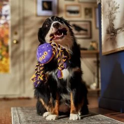 Frisco Halloween Magical Spider Plush With Rope Squeaky Dog Toy -Frisco 668310 PT3. AC SS1800 V1690571954