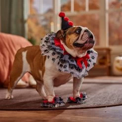 Frisco Clown Dog & Cat Costume Accessory -Frisco 706526 PT7. AC SS1800 V1689282556