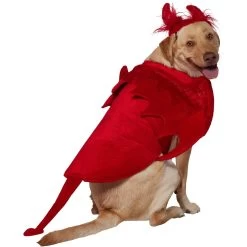 Frisco My Little Devil Dog & Cat Costume Accessory 10 Frisco My Little Devil Dog & Cat Costume Accessory -Frisco 706622 PT3. AC SS1800 V1689278848