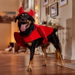 Frisco My Little Devil Dog & Cat Costume Accessory 14 Frisco My Little Devil Dog & Cat Costume Accessory -Frisco 706622 PT7. AC SS1800 V1689342200