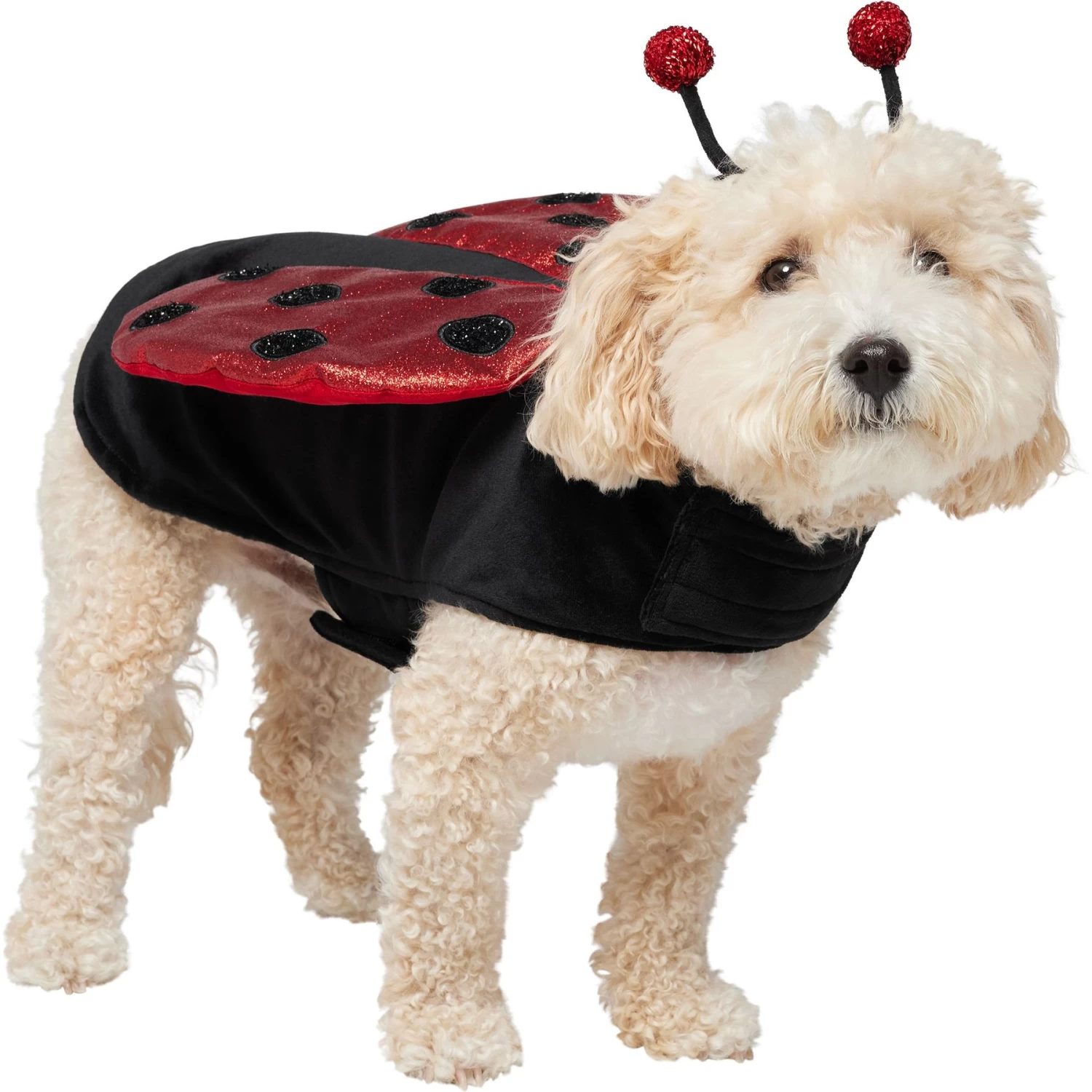 Frisco Glittered Ladybug Dog & Cat Costume 1 Frisco Glittered Ladybug Dog & Cat Costume