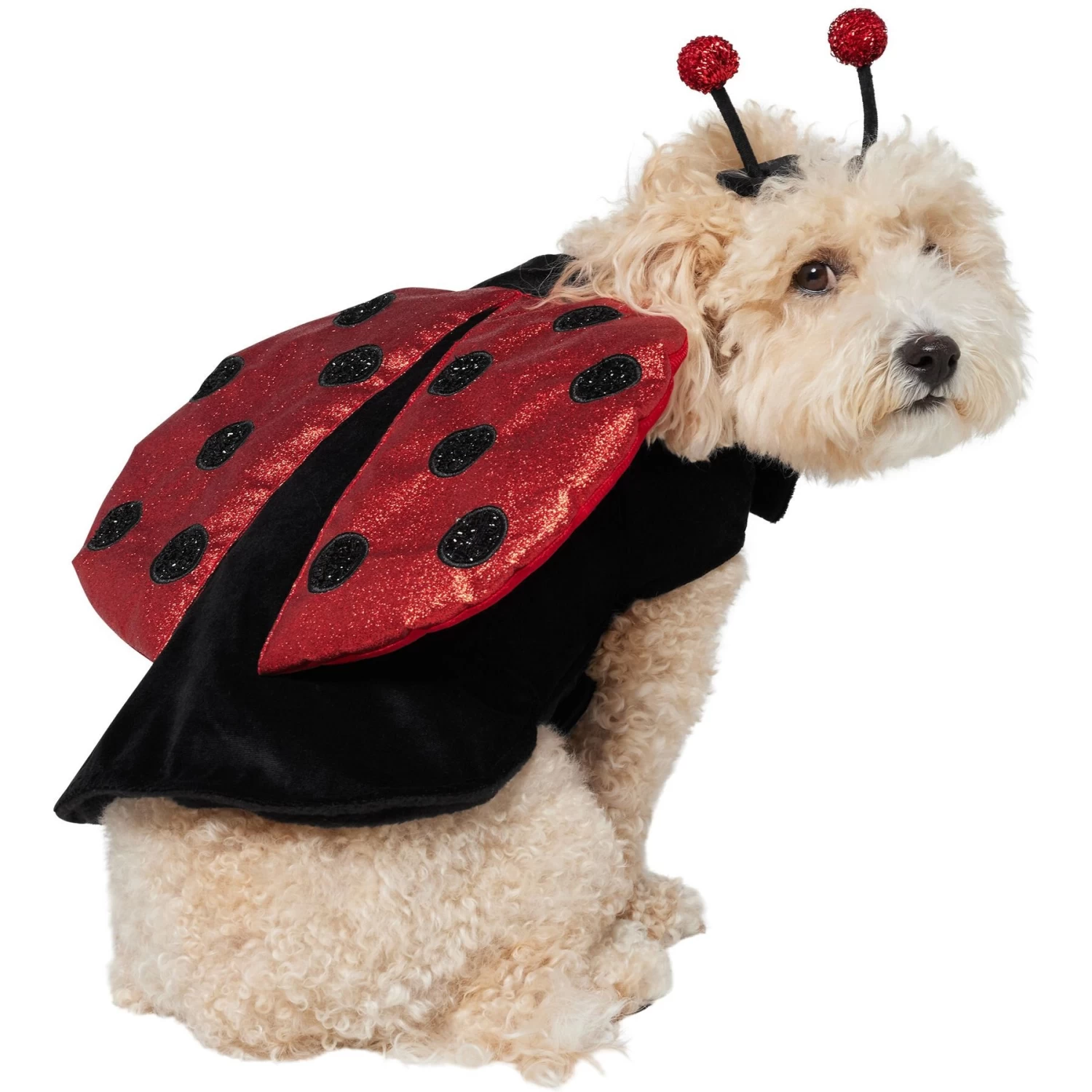 Frisco Glittered Ladybug Dog & Cat Costume 4 Frisco Glittered Ladybug Dog & Cat Costume - Image 4