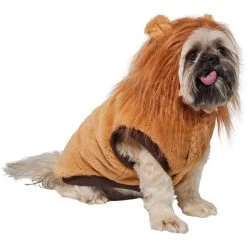 Frisco Lion Love Dog & Cat Costume