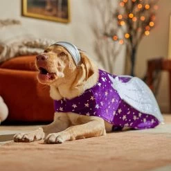 Frisco Shooting Stars Dog & Cat Costume 14 Frisco Shooting Stars Dog & Cat Costume -Frisco 708614 PT7. AC SS1800 V1689278699