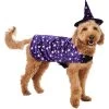 Frisco Cosmic Witch Dog & Cat Costume