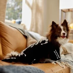 Frisco Glow In The Dark Skeleton Dog & Cat Costume 14 Frisco Glow In The Dark Skeleton Dog & Cat Costume -Frisco 709038 PT7. AC SS1800 V1689350988