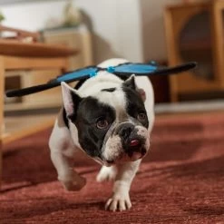 Frisco Magical Butterfly Wings Dog & Cat Costume Accessory 12 Frisco Magical Butterfly Wings Dog & Cat Costume Accessory -Frisco 713062 PT7. AC SS1800 V1689354962