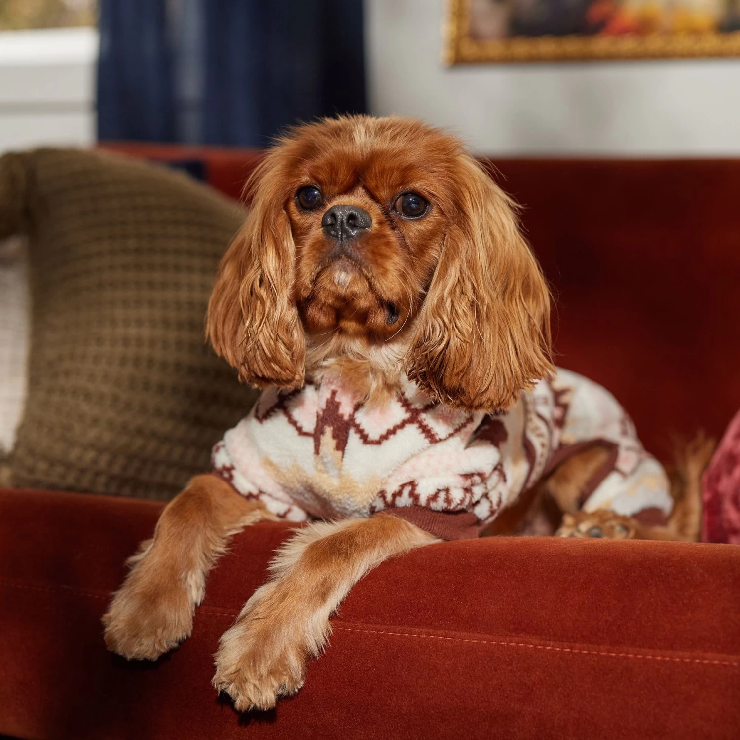 Frisco Fairisle Cozy Plush Fleece Dog & Cat PJs, Cream 7 Frisco Fairisle Cozy Plush Fleece Dog & Cat PJs, Cream - Image 7