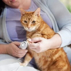 Rechargeable Cordless Cat & Dog 3-Speed Nail Grinder, White -Frisco 729774 PT5. AC SS1800 V1683147135