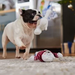 Frisco Holiday Polar Bear Friends Plush Squeaky Dog Toy 7 Frisco Holiday Polar Bear Friends Plush Squeaky Dog Toy -Frisco 739822 PT3. AC SS1800 V1695043811