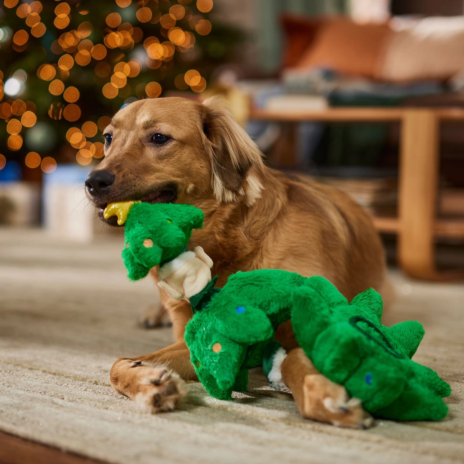 Frisco Holiday Elf In A Tree Bungee Plush Squeaky Dog Toy 4 Frisco Holiday Elf In A Tree Bungee Plush Squeaky Dog Toy - Image 4