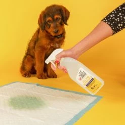 Skout's Honor Dog Pee Pad Refresher Spray, 28-oz Bottle & Frisco Washable Dog Potty Pads 13 Skout's Honor Dog Pee Pad Refresher Spray, 28-oz Bottle & Frisco Washable Dog Potty Pads -Frisco 772958 PT4. AC SS1800 V1676749044