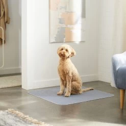 Skout's Honor Dog Pee Pad Refresher Spray, 28-oz Bottle & Frisco Washable Dog Potty Pads 17 Skout's Honor Dog Pee Pad Refresher Spray, 28-oz Bottle & Frisco Washable Dog Potty Pads -Frisco 772958 PT8. AC SS1800 V1676752183