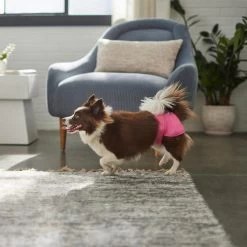 Skout's Honor Laundry Booster Stain & Odor Removal Additive, 32-oz Bottle & Frisco Washable Female Diaper -Frisco 773022 PT8. AC SS1800 V1676749103