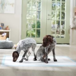 Frisco Mega Non-Skid Ultra Premium Dog Training & Potty Pads -Frisco 793822 PT6. AC SS1800 V1683033862