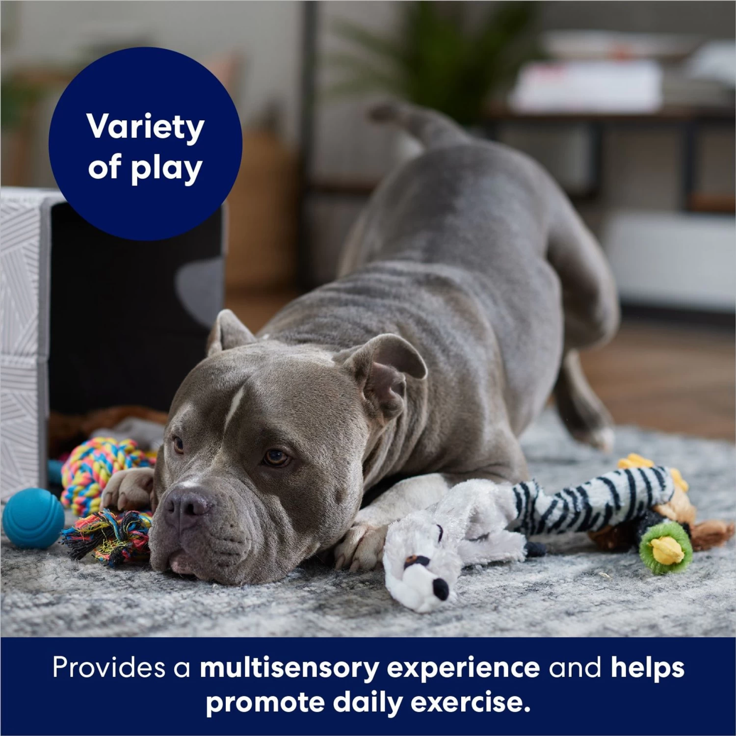 Frisco Forest Friends Plush, Rope & TPR Variety Pack Dog Toy 4 Frisco Forest Friends Plush, Rope & TPR Variety Pack Dog Toy - Image 4