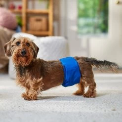 Frisco Washable Dog Diaper Male Wraps 9 Frisco Washable Dog Diaper Male Wraps -Frisco 862854 PT3. AC SS1800 V1698950172