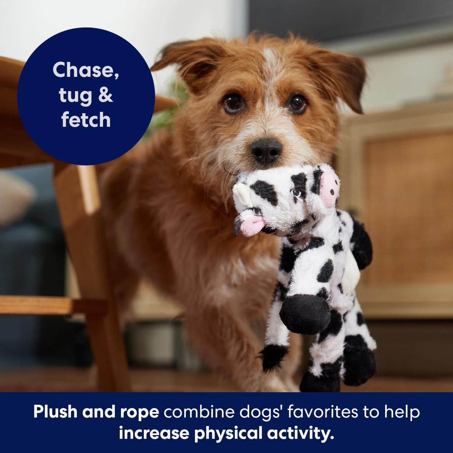 Frisco Monkey Plush With Rope Squeaky Dog Toy & Frisco Cow Plush With Inside Rope Squeaky Dog Toy 9 Frisco Monkey Plush With Rope Squeaky Dog Toy & Frisco Cow Plush With Inside Rope Squeaky Dog Toy - Image 9