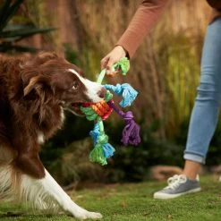 Frisco Fetch Colorful Ball Knot Rope Dog Toy & Frisco Monkey Plush With Rope Squeaky Dog Toy -Frisco 962014 PT2. AC SS1800 V1694784008